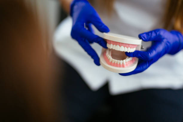 Best Root Canal Treatment  in South Pasadena, FL